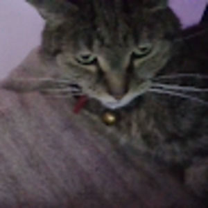 Meet your Posher, Vicky